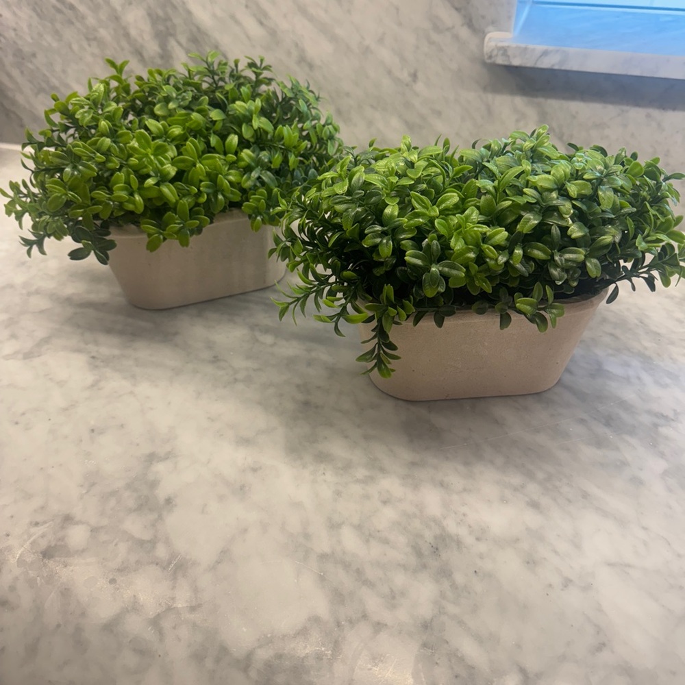 Green Faux Plant in Cream Planter (Set of 2)